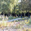 유수지근린공원 이미지