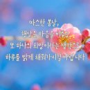봄날 티스토리