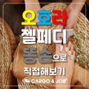 정앤잡 이미지