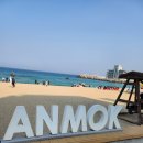 씨유 안목커피거리점 | 강릉 안목 커피거리 설맞이 공연 경포 설 명절 행사 후기