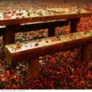 하얀쪽배 이미지