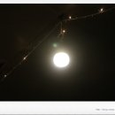 금다래캠핑장 이미지