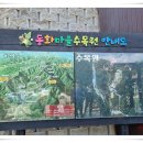 동화마을수목원 이미지