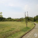 몽마르뜨 이미지