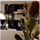 섬기는재가노인복지센터 이미지