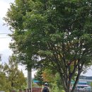 버스종점 이미지