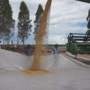 박창규 농장 이미지