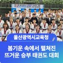 문수태권도 이미지