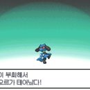 호수체육관 이미지