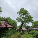 옥류헌릴렉스 이미지