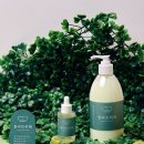 숲속의 향기 이미지