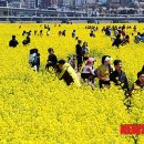 낙동강관리본부 대저생태공원 6 이미지