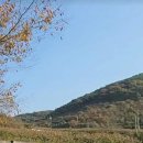 사천시 저렴한 임야 매매 임업등...추천 이미지