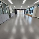 라이온 체육관 이미지