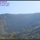 골안목장 이미지