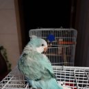 군포굿닥터동물병원 이미지