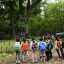 녹천초교 이미지