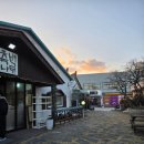 측백장어 이미지