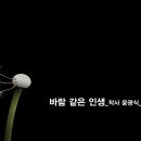 듀엣발라드_윤광식 시인의 제7시집 「바람 같은 인생」대표시 홍보용 노래_작 편곡 수노_영상 편집 윤기영 이미지