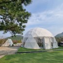 돔무인텔 이미지