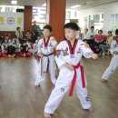 태영태권도장 이미지