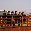 서천-21 Daum카페