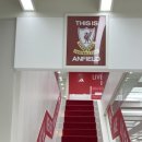 싸카스포츠 | 동대문 싸카풋볼스토어 리버풀팝업 내돈내산 솔직후기