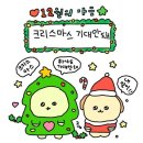 쉘모텔 | 12월1주/ 평범한듯 안평범한듯