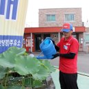 망향주유소 쿠키뉴스