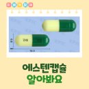 에스텐 티스토리