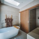 시기공추 이미지