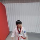 연세월드태권도 이미지