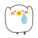 픽스엔오일 이미지