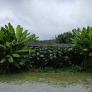 7117모텔 이미지