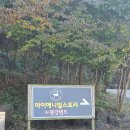 애니멀샵 | 서울 근교 나들이로 다녀온 포천 마이 애니멀스토리 in 평강랜드 후기