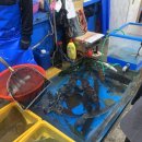 삼삼초장집 이미지