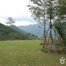 대둔산자연휴양림 Daum카페