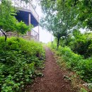 제주 오름 산책 이미지