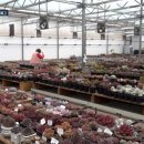 혜란농장 이미지