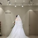 구정중앙로 | 일산 웨딩드레스 브라이드마리 빅사이즈 본식 드레스 셀렉 후기, 추가금