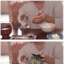 밥상머리 Daum카페