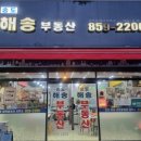 씨워크송도공인중개사사무소 | 송도웰카운티3단지 아파트, 출근길이 유난히 가벼워지는 이유 😊