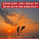 홍성군새마을회관 | 충남홍성군 양성평등주간 기념행사 김진택 행정사 참석기