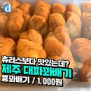 대파꽈배기