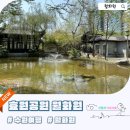 효원주유소 | 수원 여행 - 효원공원 월화원 (주차장, 입장료, 반려동물, 방문 후기)