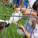 노곡초교 이미지