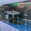 벧엘상회 이미지