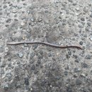 통점주차장 이미지