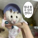 간호사 구직 사이트, 알아보자