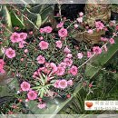삼광자동차정비 네이버블로그